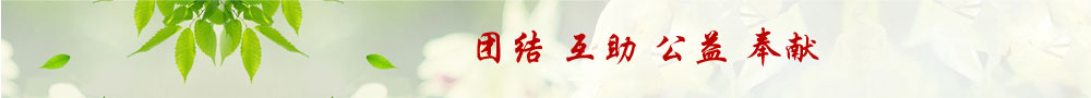 首页底部广告