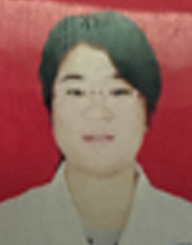 赵振华
